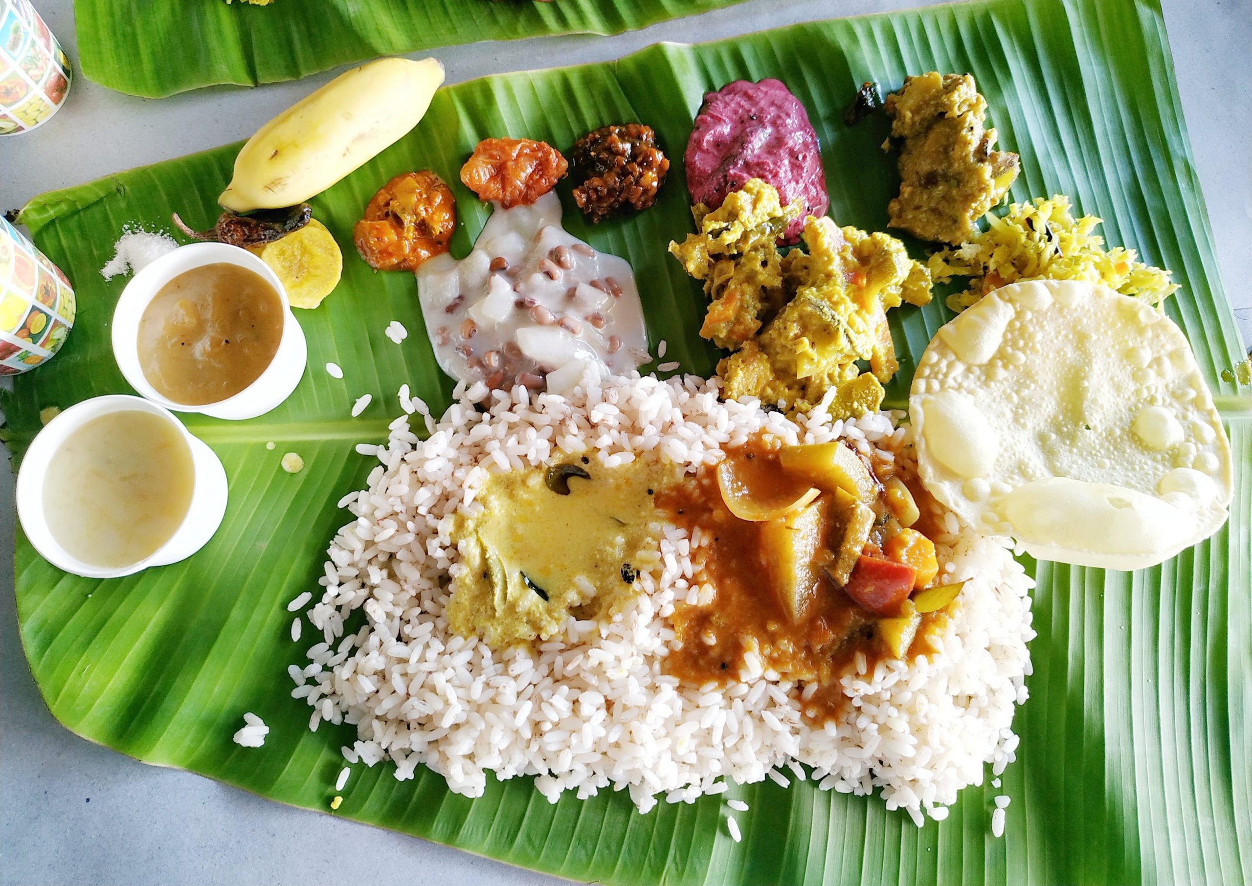 essay on food of kerala in hindi
