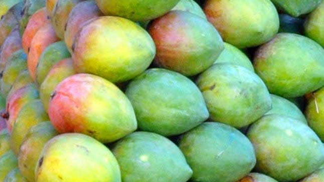 Raspuri mango