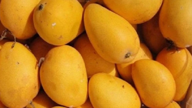 Safeda mango