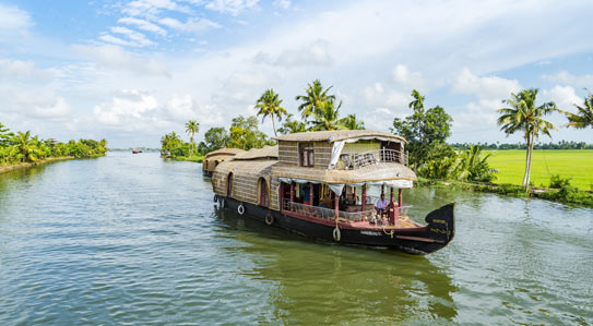 Discover the enchanting beauty of Alappuzha, a must-visit destination on your West Coast road trip.