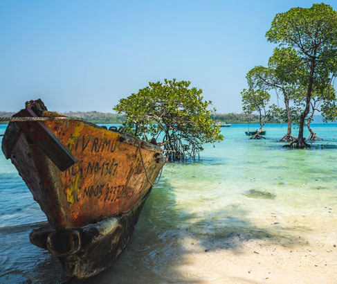Discover the Exotic Beauty of Andaman Islands: A Guide to Top Attractions and Activities