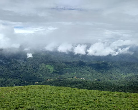 Escape to the Serene Hills of Coorg: A Guide to Top Attractions and Activities in Karnataka, India