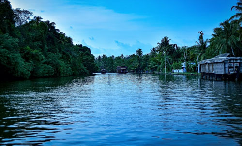 Relax and Rejuvenate in Kumarakom: A Guide to Top Attractions and Activities in Kerala, India